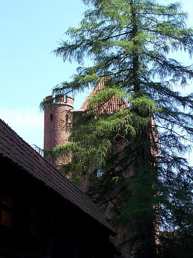 foto_ 050.jpg